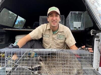 Cincinnati pest control